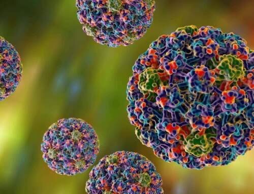 NEUMANN CONFIDENCE HPV teszt